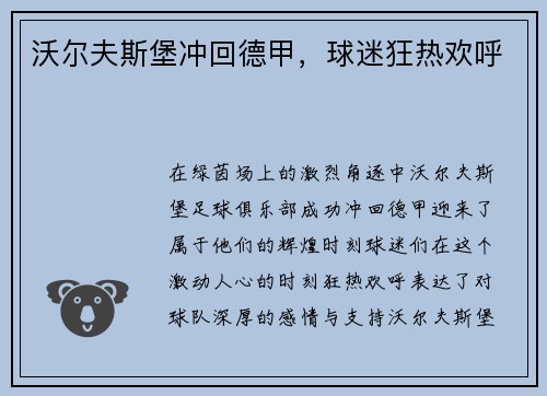 沃尔夫斯堡冲回德甲，球迷狂热欢呼
