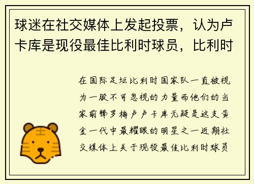 球迷在社交媒体上发起投票，认为卢卡库是现役最佳比利时球员，比利时卢卡库越位