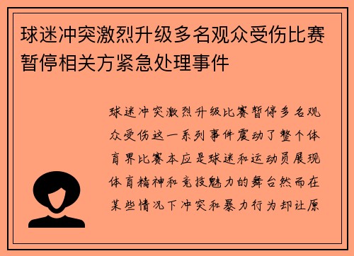 球迷冲突激烈升级多名观众受伤比赛暂停相关方紧急处理事件